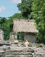 Cozumel's San Gervasio 
ruins
